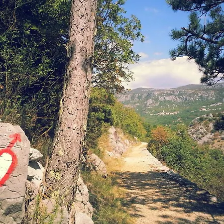 Anna With Private Pool And Garden - Happy *